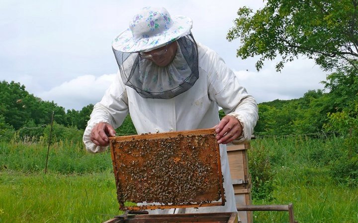 635dfc244e20f43c05d92e02f7e958cd