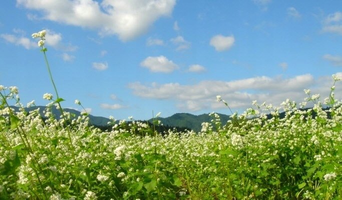 bcc02ee0a0668c373baba4bfc2df9f4d